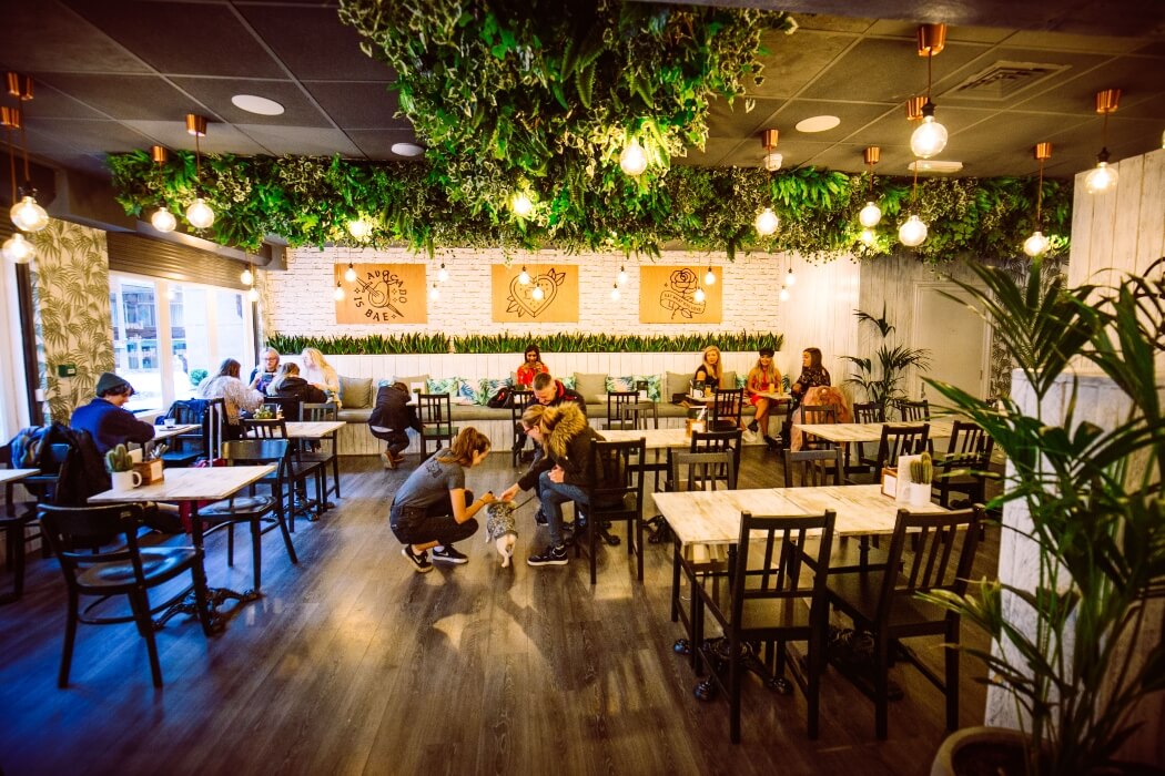 Love Thy Neighbour Liverpool City Centre Sugarvine, The Nation's